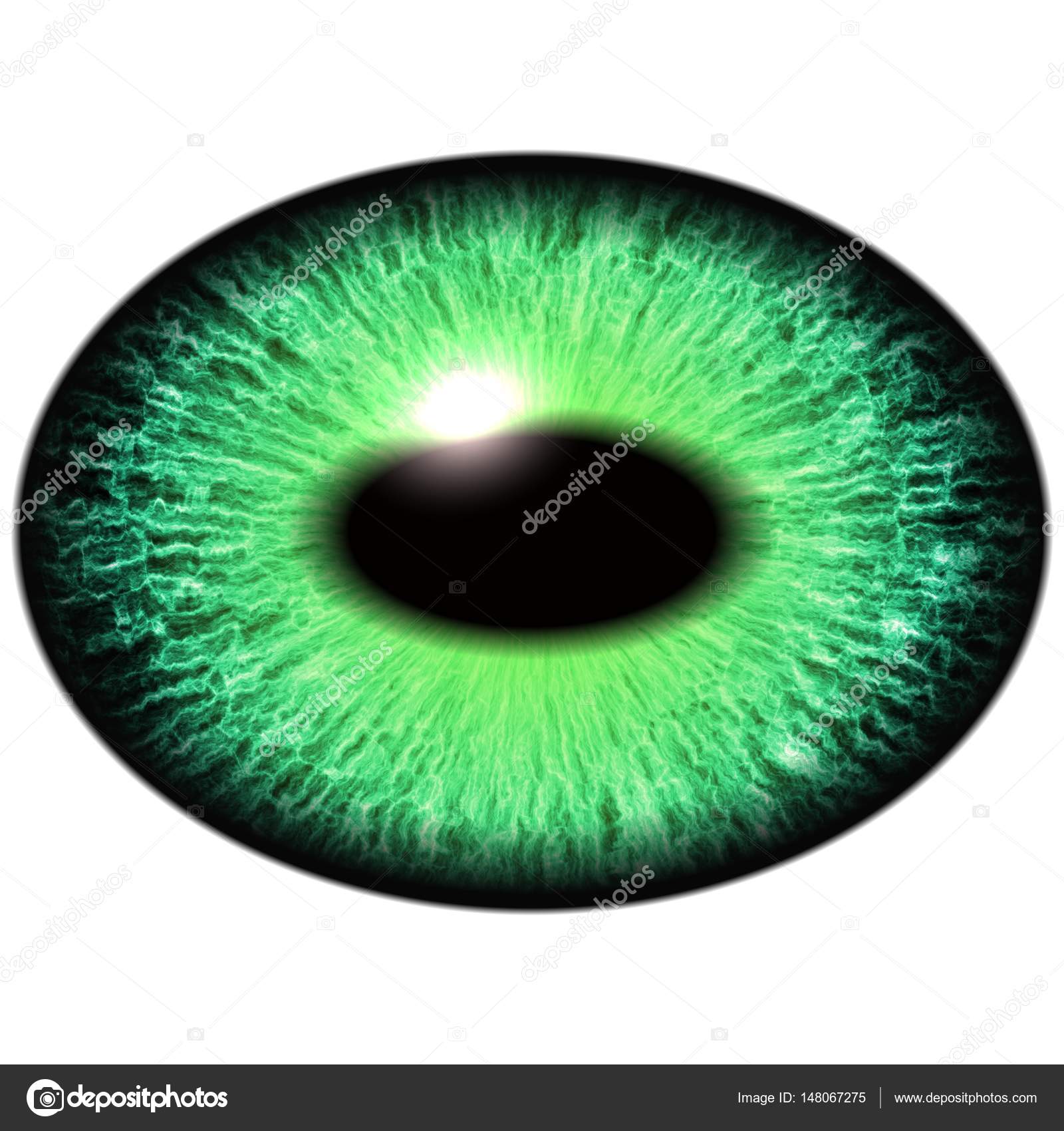 Öğrenciler ne için dilate edildi Öğrenciler ne için dilate edildi