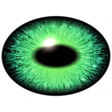Yeşil kertenkele göz ince öğrenci ve arka planda karanlık retina ile. Koyu yeşil iris