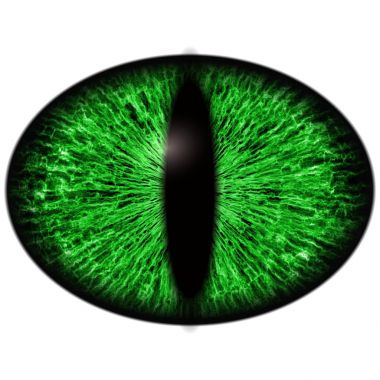 Yeşil kertenkele göz ince öğrenci ve arka planda karanlık retina ile. Koyu yeşil iris