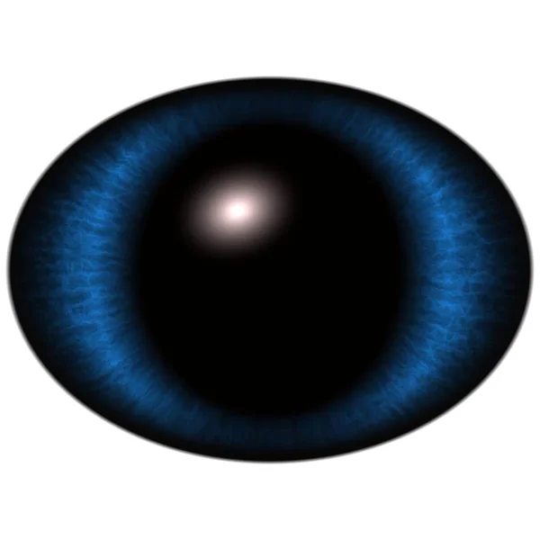 Geïsoleerde blauw oog. Grote elliptische ogen met gestreepte iris en donkere dunne elliptische leerling — Stockfoto