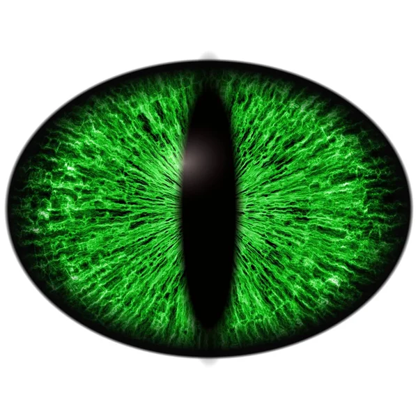 Green lizard eye with thin pupil and dark retina in background. Dark green iris — Stock Photo, Image