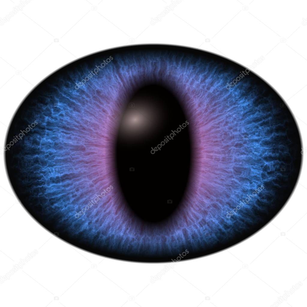 Isolated blue eye. Big elliptic eye with striped iris and dark thin elliptic pupil
