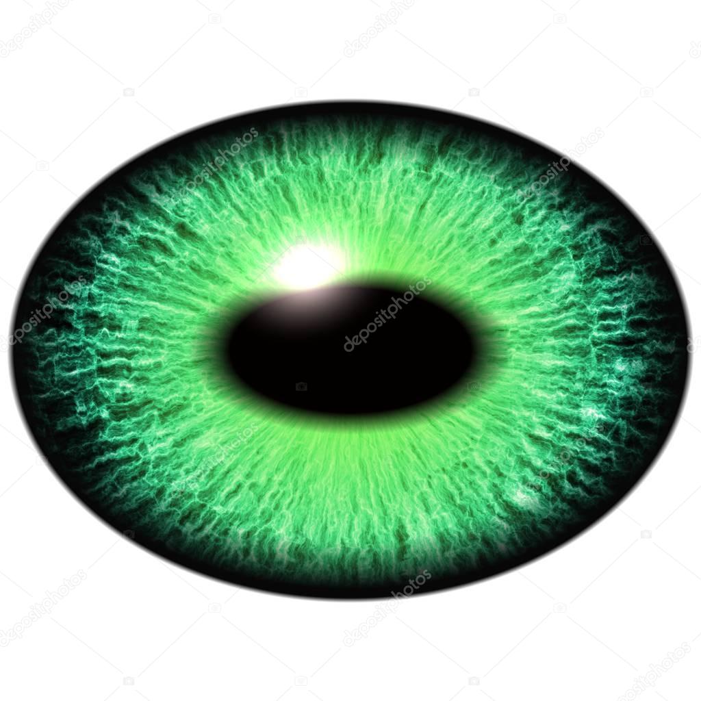 Green lizard eye with thin pupil and dark retina in background. Dark green iris