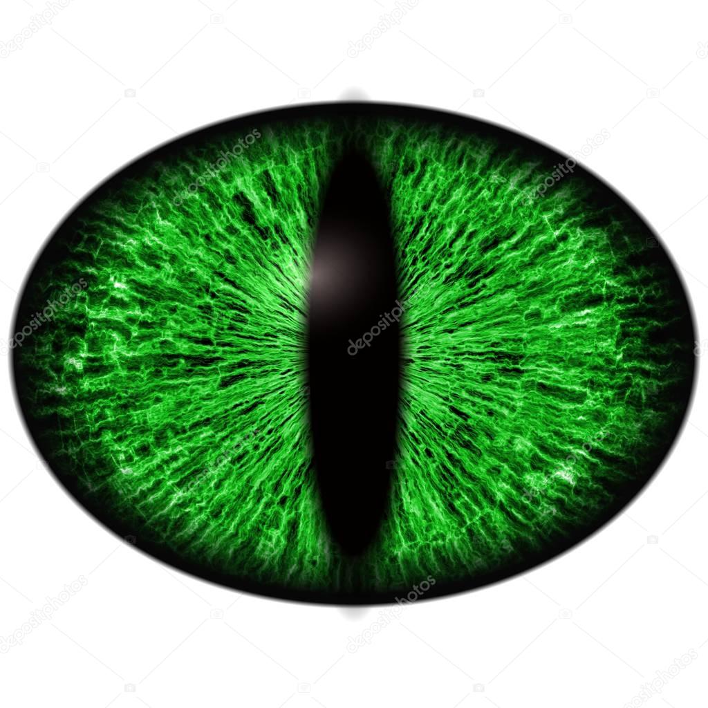 Green lizard eye with thin pupil and dark retina in background. Dark green iris