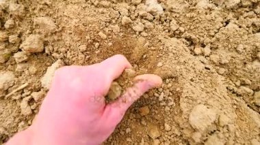 pembe deri el aşırı kuru tozlu kil bir şey arıyor. hafif rüzgar palm, parmaklar, kirli tırnakları arasında toz tanecikleri kesiyor. 