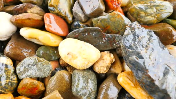 Wet stony pavement from natural pebbles. Colorful rounded stones, traditional building material. Camera moving close up to wet ground. — Stock Video
