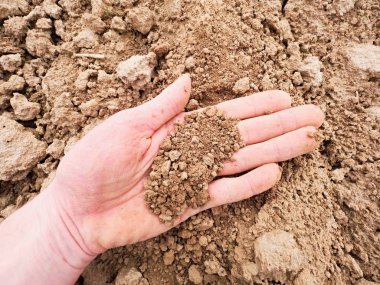 Pembe deri el ıslak kahverengi kil alanında bir şey arıyor. Tozlu palm