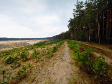 Beyaz kum ocağı üretim ve üretim cam için. Silis kum ocağı. 