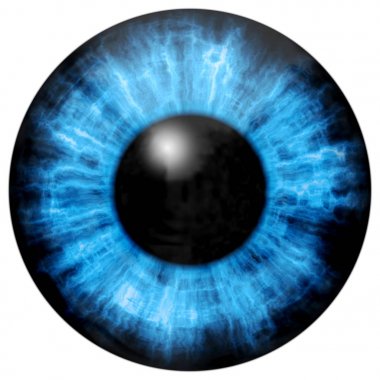 Illustration of blue eye iris, light reflection. clipart