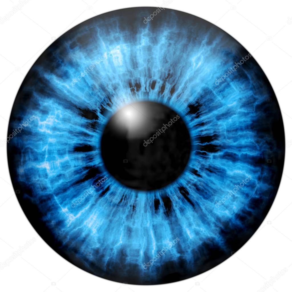 Illustration of blue eye iris, light reflection.