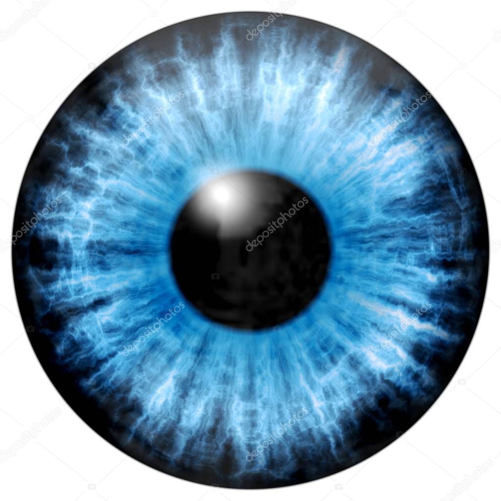 Illustration of blue eye iris, light reflection.
