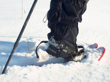 Kar ayakkabılarını ayaklı adam karda yürümek. Kış detayını zammı rüzgârla oluşan kar yığını içinde snowshoeing 