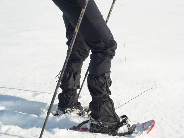 Nogi człowieka rakietach śnieżnych spacer w niegu. Wszystko zimy trasa w zaspie, wędrówki w rakietach śnieżnych — Zdjęcie stockowe