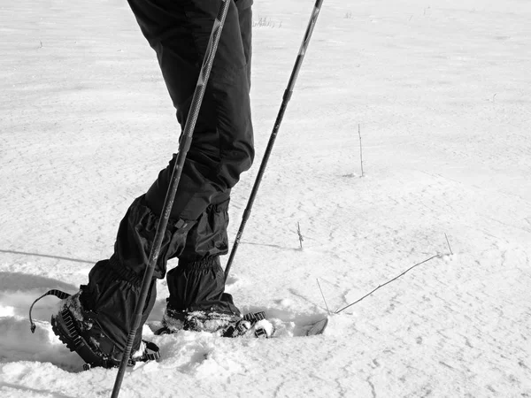 Man legs with snowshoes walk in snow. Detail of winter hike in snowdrift, snowshoeing