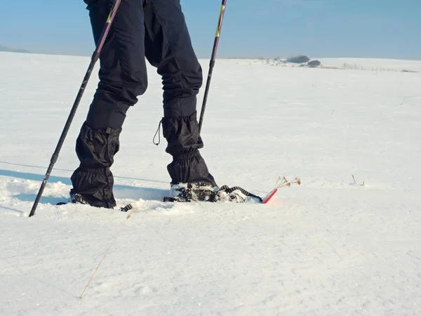 Le gambe dell'uomo con le ciaspole camminano nella neve. Dettaglio escursione invernale in ciaspolata, ciaspolata — Foto Stock