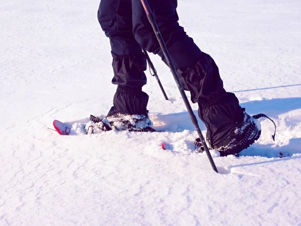 As pernas de homem com sapatos de neve andam na neve. Detalhe da caminhada de inverno em snowdrift, snowshoeing — Fotografia de Stock