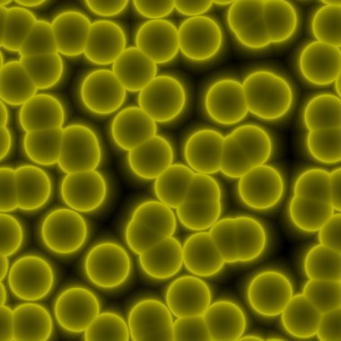 Zehirli su alanlarında toksik sarı bakterilerin çoğalarak