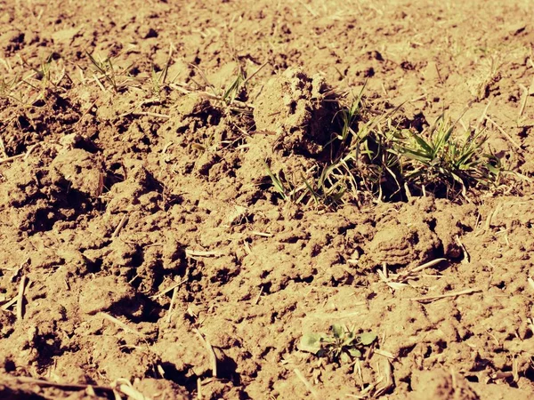 Tanah liat berdebu di lapangan. Ladang kosong dibajak menunggu untuk menabur . — Stok Foto