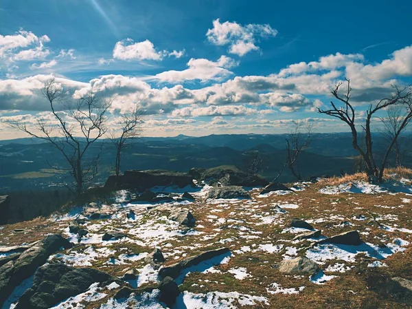 Tôt le matin froid et brumeux à l'herbe de givre sur la montagne, vue sur l'herbe gelée et les rochers aux arbres et à la colline. . — Photo