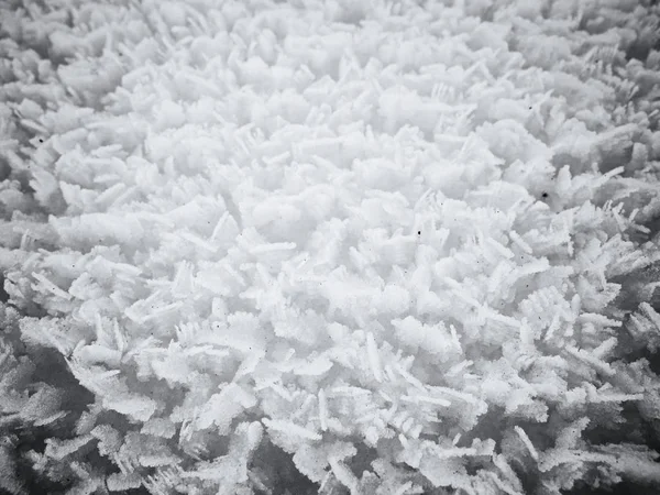 Stucture de la surface de neige cristalline de très près . — Photo