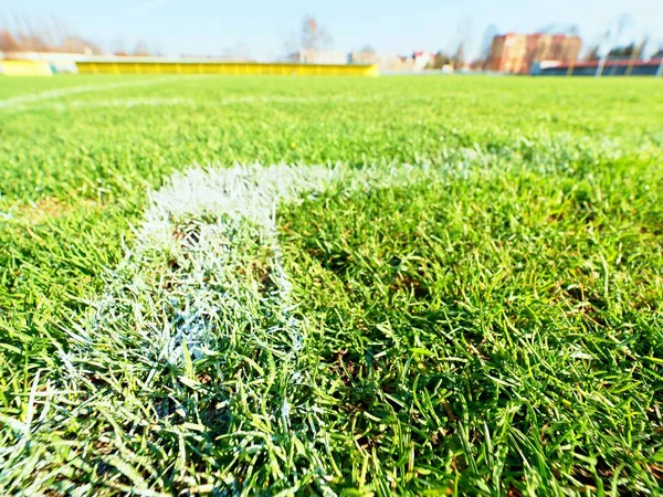 Veld hoek van buiten voetbal Speeltuin, natuurgras turfs — Stockfoto