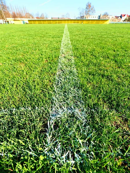 Sınır doğal kuru futbol çimlerin üzerine boyalı beyaz çizgiler. Yeşil çim doku kesmek. — Stok fotoğraf
