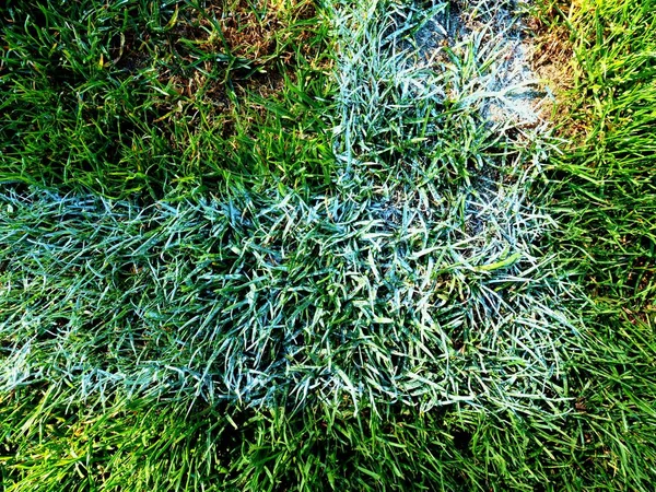 Field corner of outdoor football playground, natural grass turfs — Stock Photo, Image