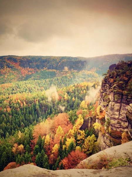 Herrlicher Tagesanbruch. nebliger Tagesanbruch in einem wunderschönen Hügelland des Nationalparks, euroope. — Stockfoto