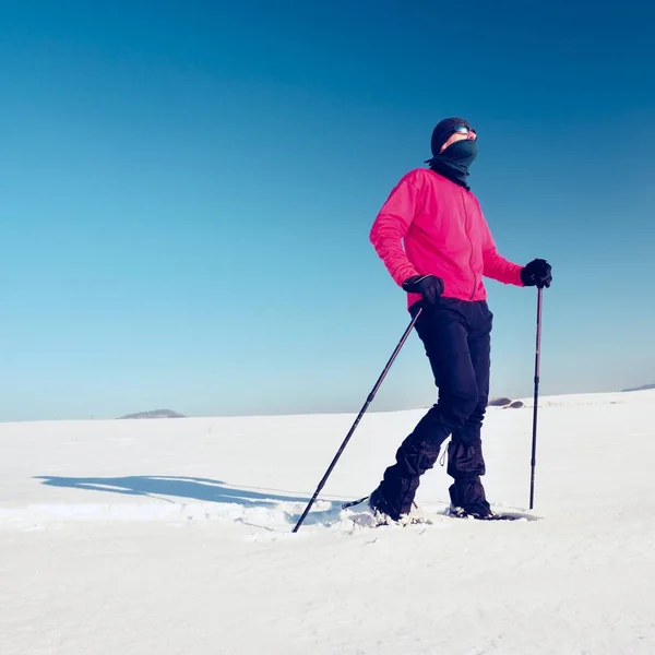 Turista de invierno con raquetas de nieve caminar en la deriva nevada. Caminante en chaqueta deportiva rosa —  Fotos de Stock