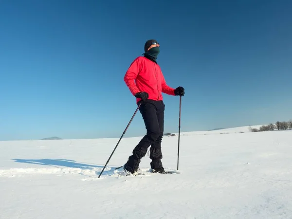 Χειμερινό τουριστικό με χιονοπέδιλα βόλτα στο χιονισμένο drift. Πεζοπόρος σε ροζ αθλητικά μπουφάν — Φωτογραφία Αρχείου