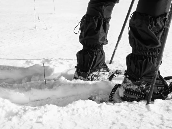 Männerbeine mit Schneeschuhen laufen im Schnee. Detail der Winterwanderung im Schneegestöber — Stockfoto