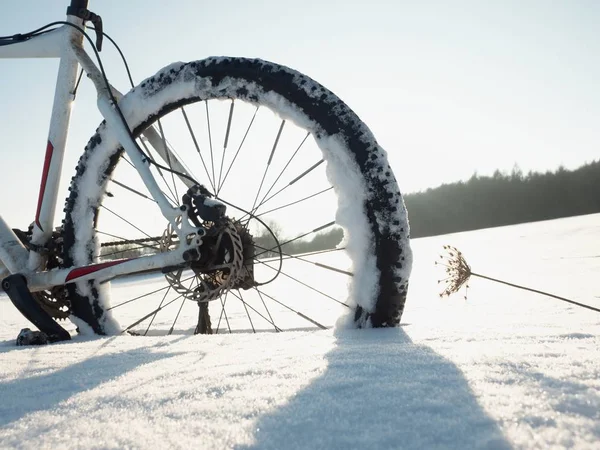 Гірський велосипед залишається в порошковому снігу. Снігові пластівці тануть на темній дорозі . — стокове фото