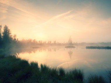 Çim dağ Gölü kıyısında, ada ortada. Mor sabah gizemli orman huzurlu su düzeyi ile. Otlar ve çim, ağır bulutlar gökyüzünde taze yeşil rengi.