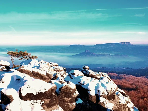 Congelar la caminata de otoño, rocas cubiertas de primera nieve fresca . —  Fotos de Stock