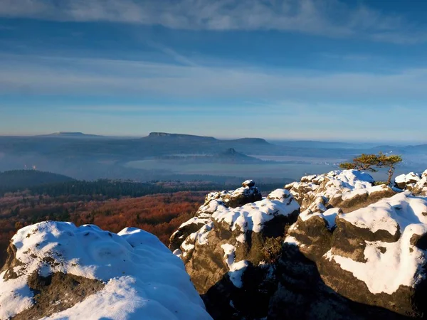 Pink daybreak in hilly landscape. Early winter misty morning — Stock Photo, Image