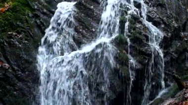 Ağır çekim. Küçük şelale yağmur sonra su dolu. Islak bazalt kayalar, sütlü su akışları ve baloncuklar dolu üzerine düşünceler.. 