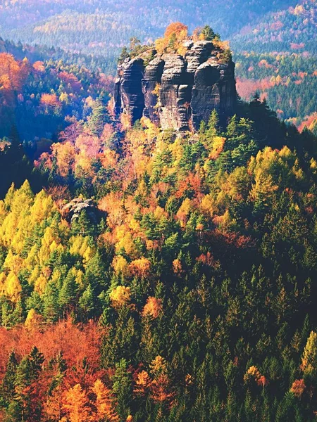 Maravilloso amanecer. Amanecer brumoso en una hermosa colina del parque nacional, Europa . — Foto de Stock