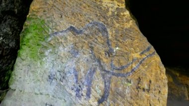 Prehistorik sanat mamut kumtaşı mağarada. Spot tarihsel boyama parlar. Siyah karbon mamut kumtaşı duvarda. İnsan avcılık, tarih öncesi resmi boya. İnsanlık tarihi keşif