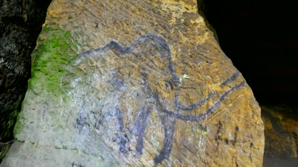 砂岩の洞窟のマンモスの有史以前の芸術。スポット ライトは、歴史的な絵画を照らします。砂岩壁にカーボン ブラック マンモス。人間狩り、先史時代の絵をペイントします。人類の歴史の発見 — ストック動画