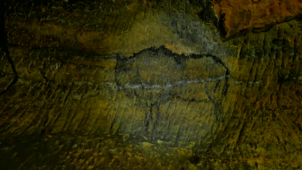 Κυνήγι βουβαλιών. Χρώμα της ανθρώπινης κυνήγι στον τοίχο ψαμμίτη, προϊστορικά εικόνα. Μαύρο άνθρακα αφηρημένη παιδιά τέχνη σε σπηλιά ψαμμίτης — Αρχείο Βίντεο