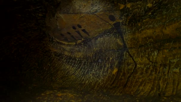 Buvoly. Barva lidské lovu na pískovcové zdi, prehistorické obrázek. Černý uhlík abstraktní děti umění v pískovcové jeskyně — Stock video