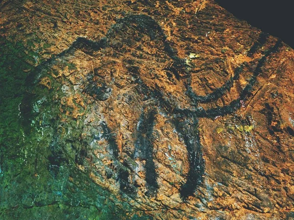 Descubrimiento de la historia humana. Arte prehistórico de mamut en cueva de arenisca — Foto de Stock