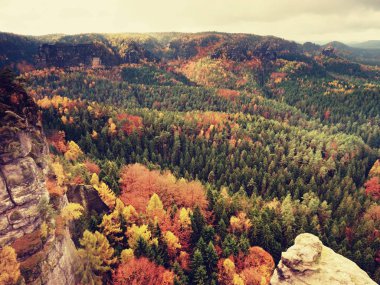 Güzel bir dağ içinde sonbahar gündoğumu. Kumtaşı zirveleri sis arttı
