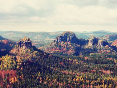 Kasım başında soğuk sabah sonbahar doğada. Renkli sonbahar sabah