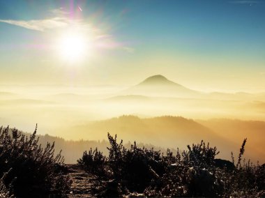 Cliff parkta blooming heather bush ilk karda. Tepelik kırsal