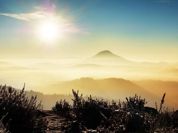 První sníh v kvetoucí vřes bush na útesu v parku. Kopcovitá krajina — Stock fotografie