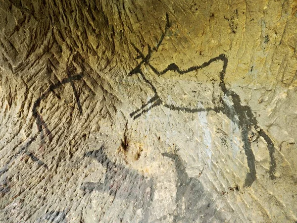 Χρώμα μαύρο άνθρακα των ελαφιών στον τοίχο ψαμμίτη, προϊστορικά εικόνα. Αφηρημένη τέχνη σε σπηλιά — Φωτογραφία Αρχείου