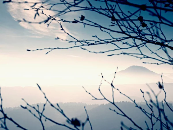 Visa genom grenar över djupa misty valley inom gryning. Dimmigt och Dimmig morgon — Stockfoto