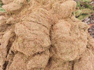 Berbat koku çürük ot. Hasat çürüme çim Bahçe köşesinde büyük yeşil Höyük. 