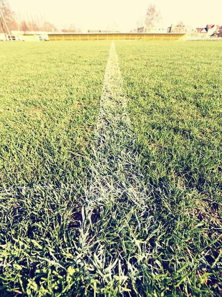 Межа пофарбованих білих ліній на природній сухій футбольній траві. Вирізати текстуру зеленого дерну . — стокове фото